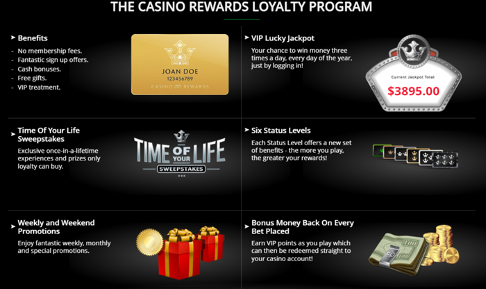 Get the VIP Edge: VIP Program Rewards They Don’t Want You to Know!