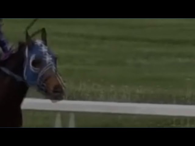 Fairmount Park opens for the season in Collinsville